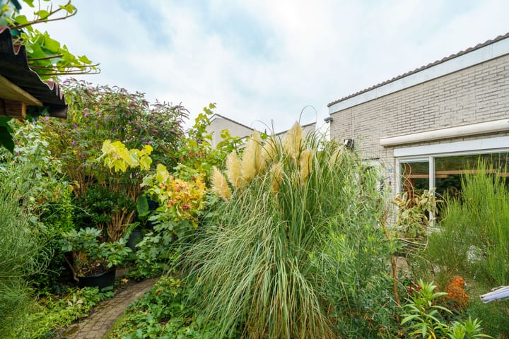 Foto 22 van P. Verhagenstraat 10