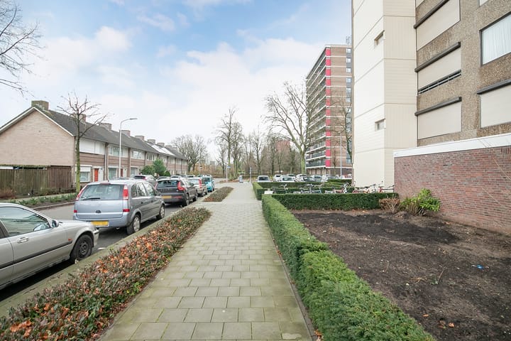 Foto 42 van Venuslaan 217