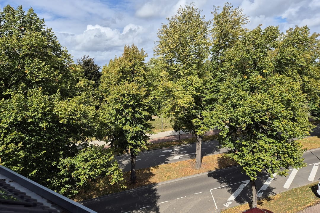 Photo 11 of Petrus Regoutplein 22-D02