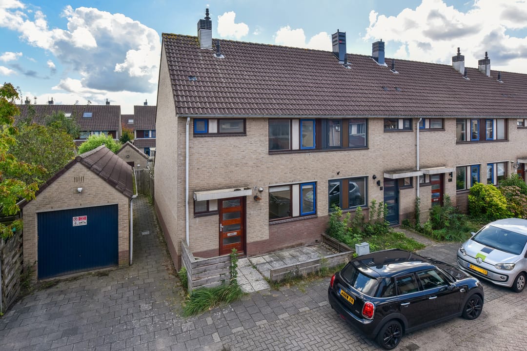 Foto 1 van Lepelblad 11