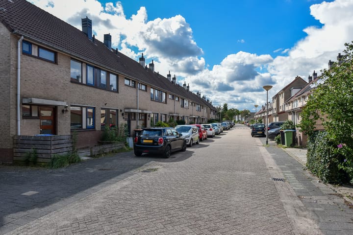 Foto 2 van Lepelblad 11