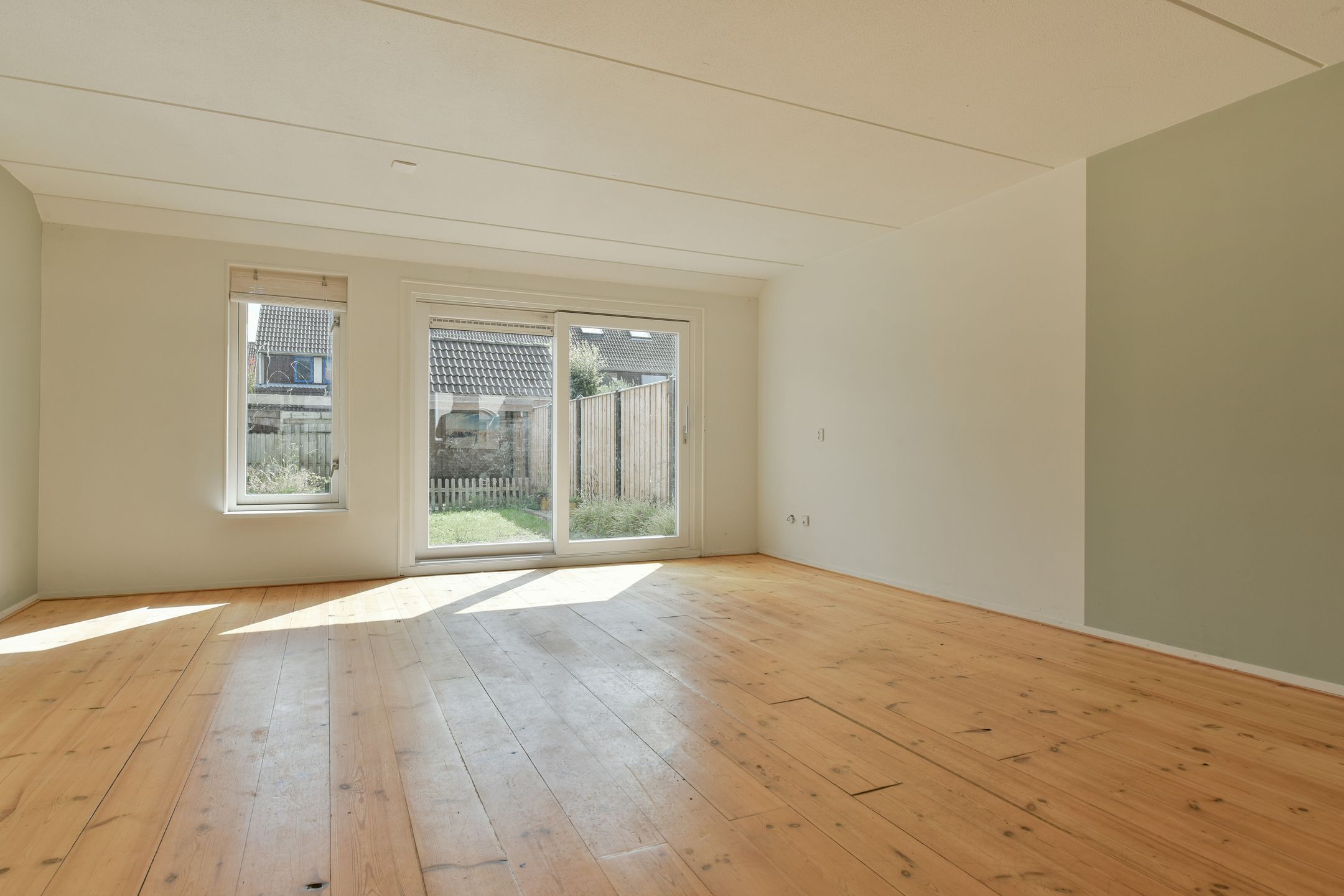 Foto 3 van Lepelblad 11