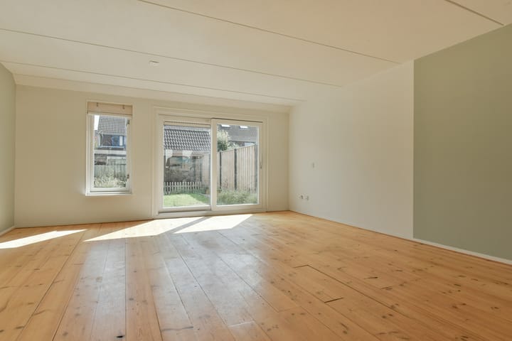 Foto 3 van Lepelblad 11