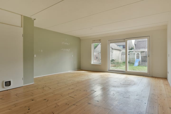 Foto 4 van Lepelblad 11