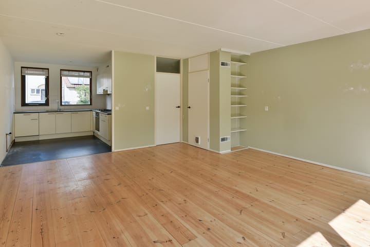 Foto 5 van Lepelblad 11