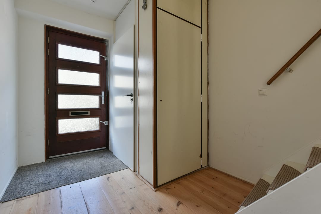 Foto 8 van Lepelblad 11