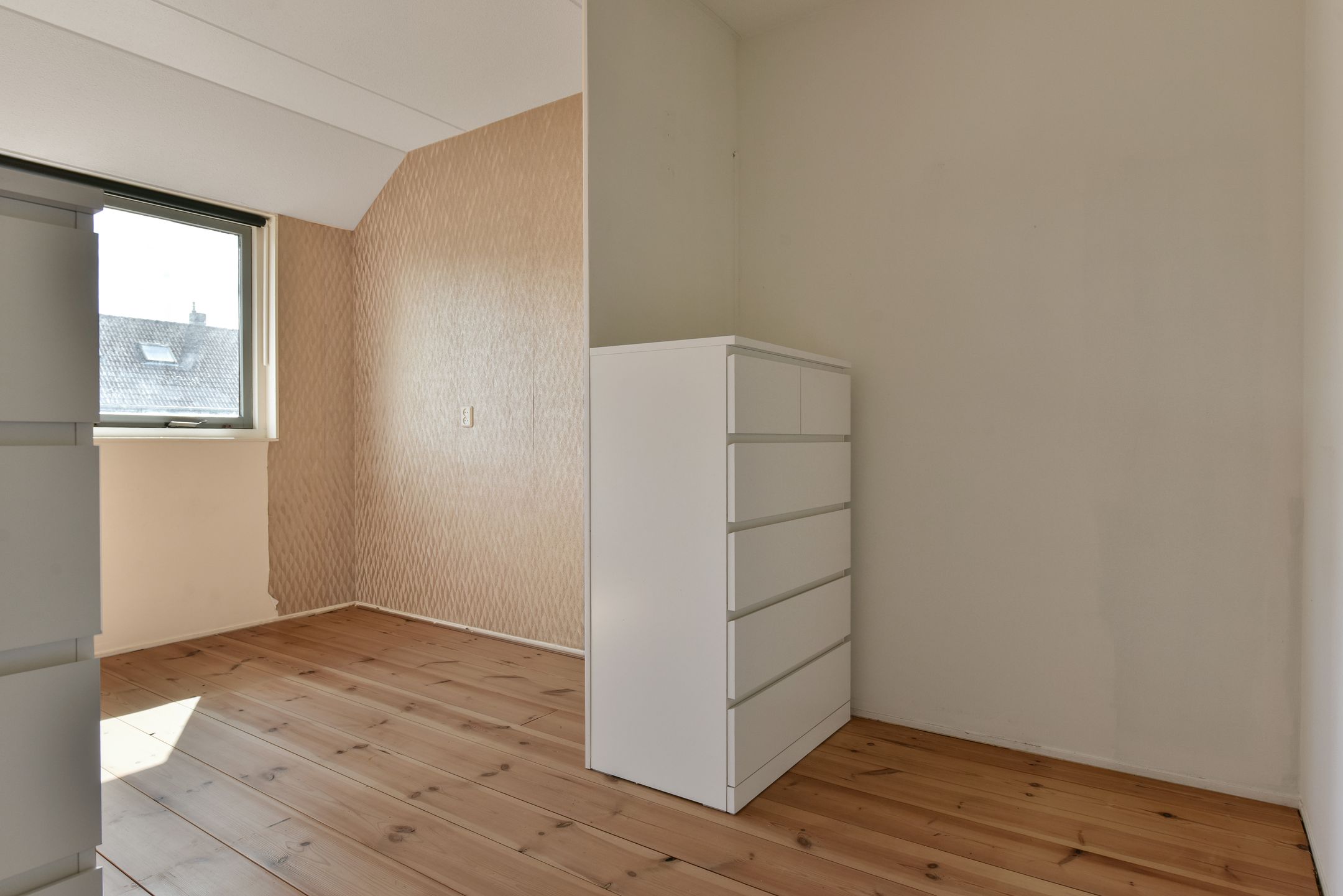 Foto 9 van Lepelblad 11