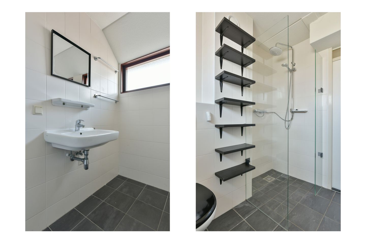 Foto 14 van Lepelblad 11