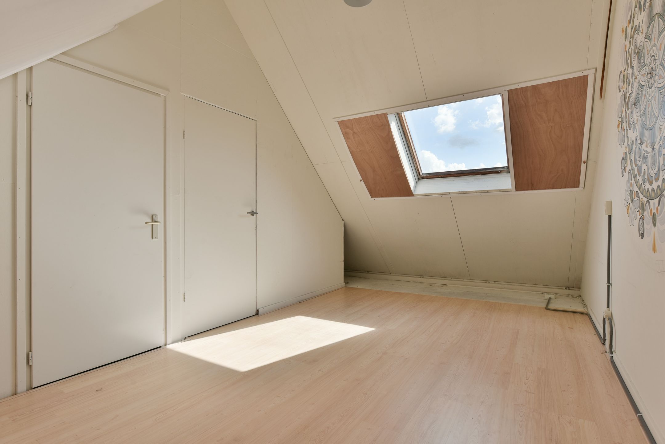 Foto 15 van Lepelblad 11