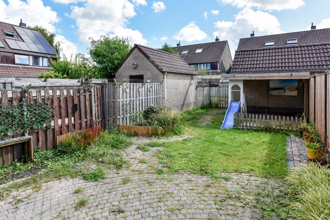 Foto 16 van Lepelblad 11