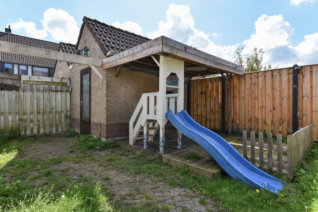 Foto 17 van Lepelblad 11