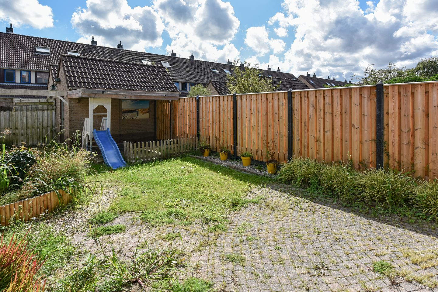 Foto 20 van Lepelblad 11