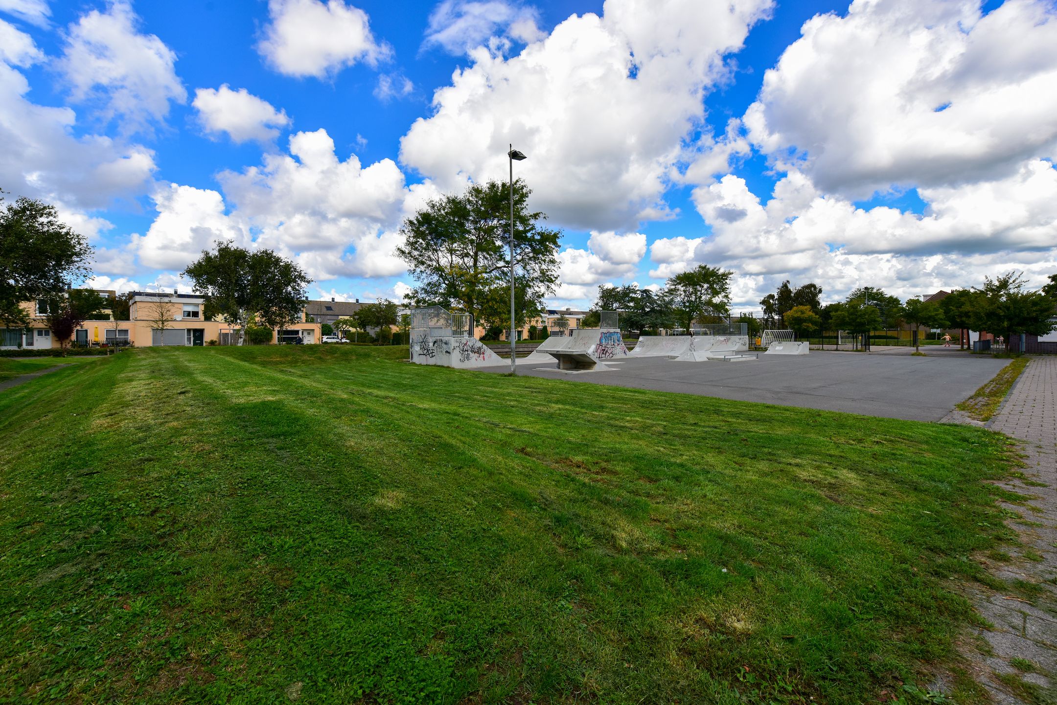 Foto 21 van Lepelblad 11