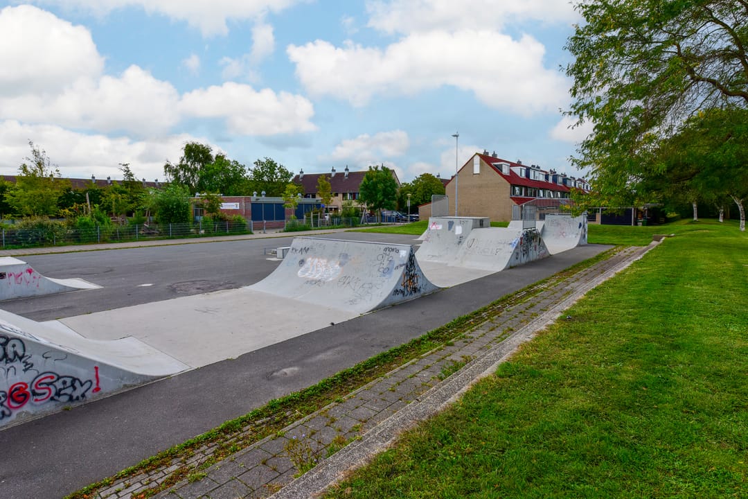 Foto 22 van Lepelblad 11