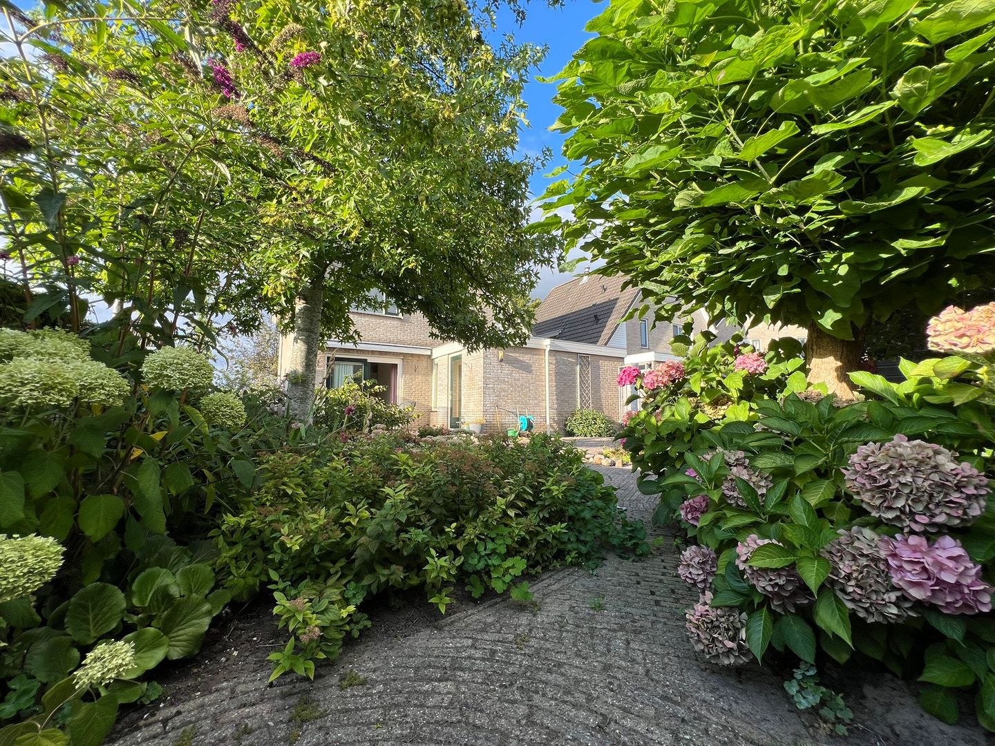 Foto 29 van Het Wapenschild 34