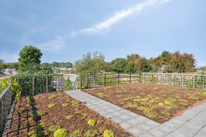 Photo 65 of Aan de Laadhaven 2