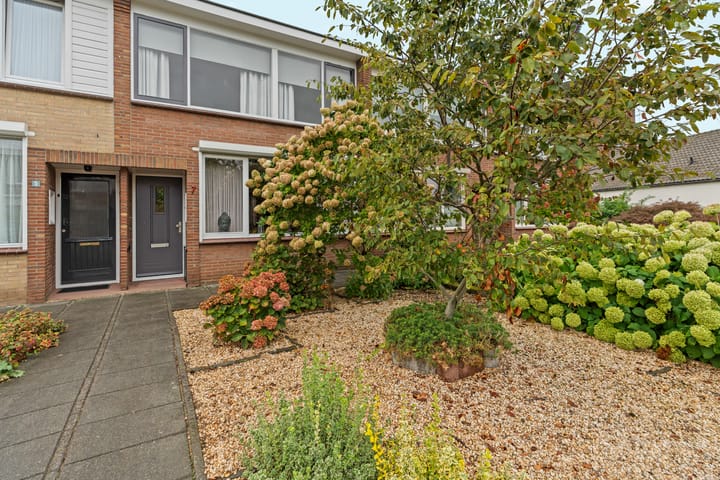 Foto 41 van Buitenmolen 7