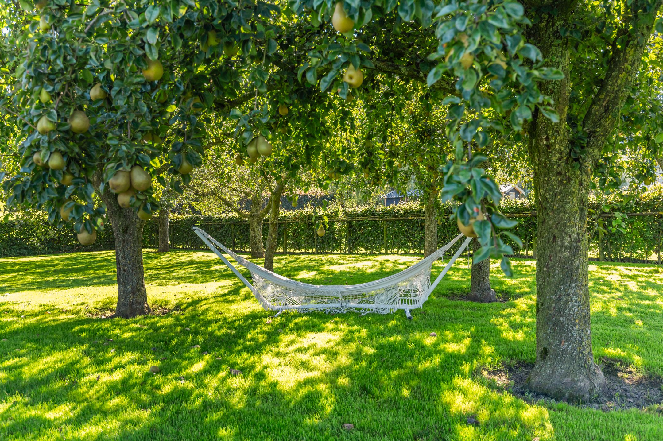 Foto 93 van Rijndijk 43-A