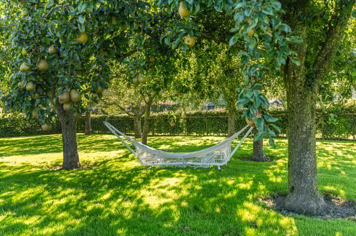 Foto 93 van Rijndijk 43-A