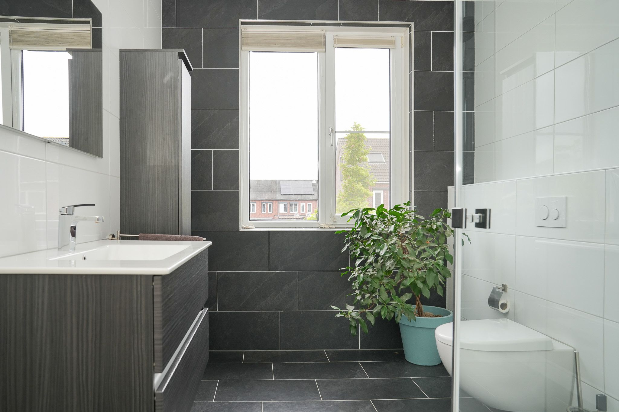 Foto 3 van Vierspan 6