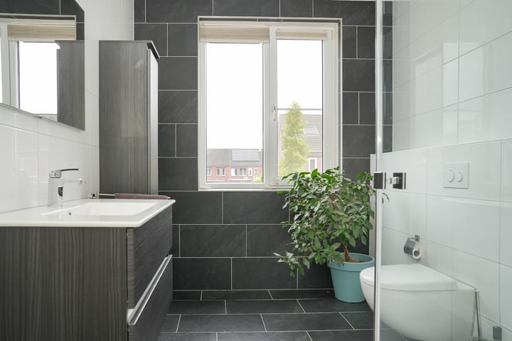 Foto 3 van Vierspan 6