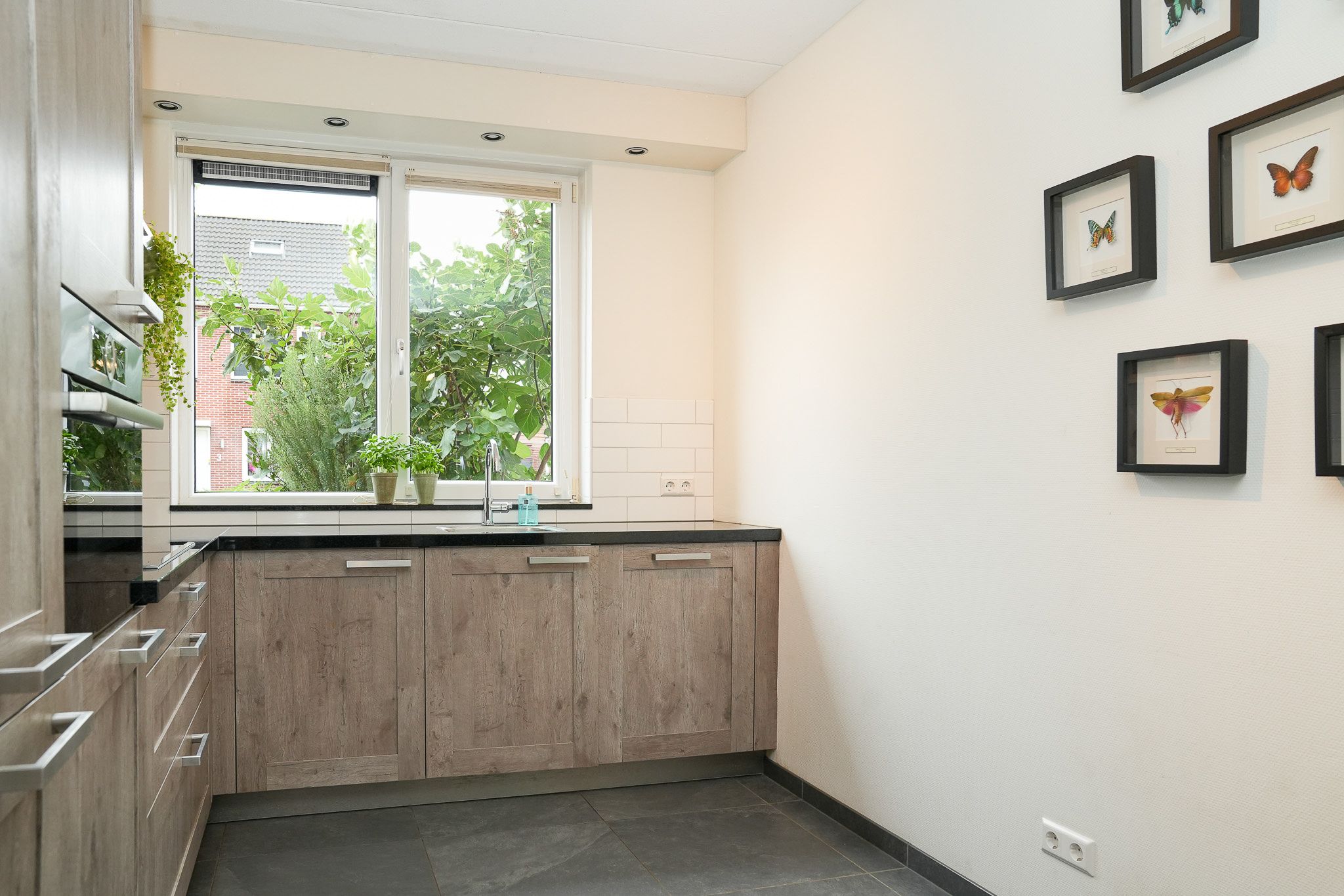 Foto 9 van Vierspan 6