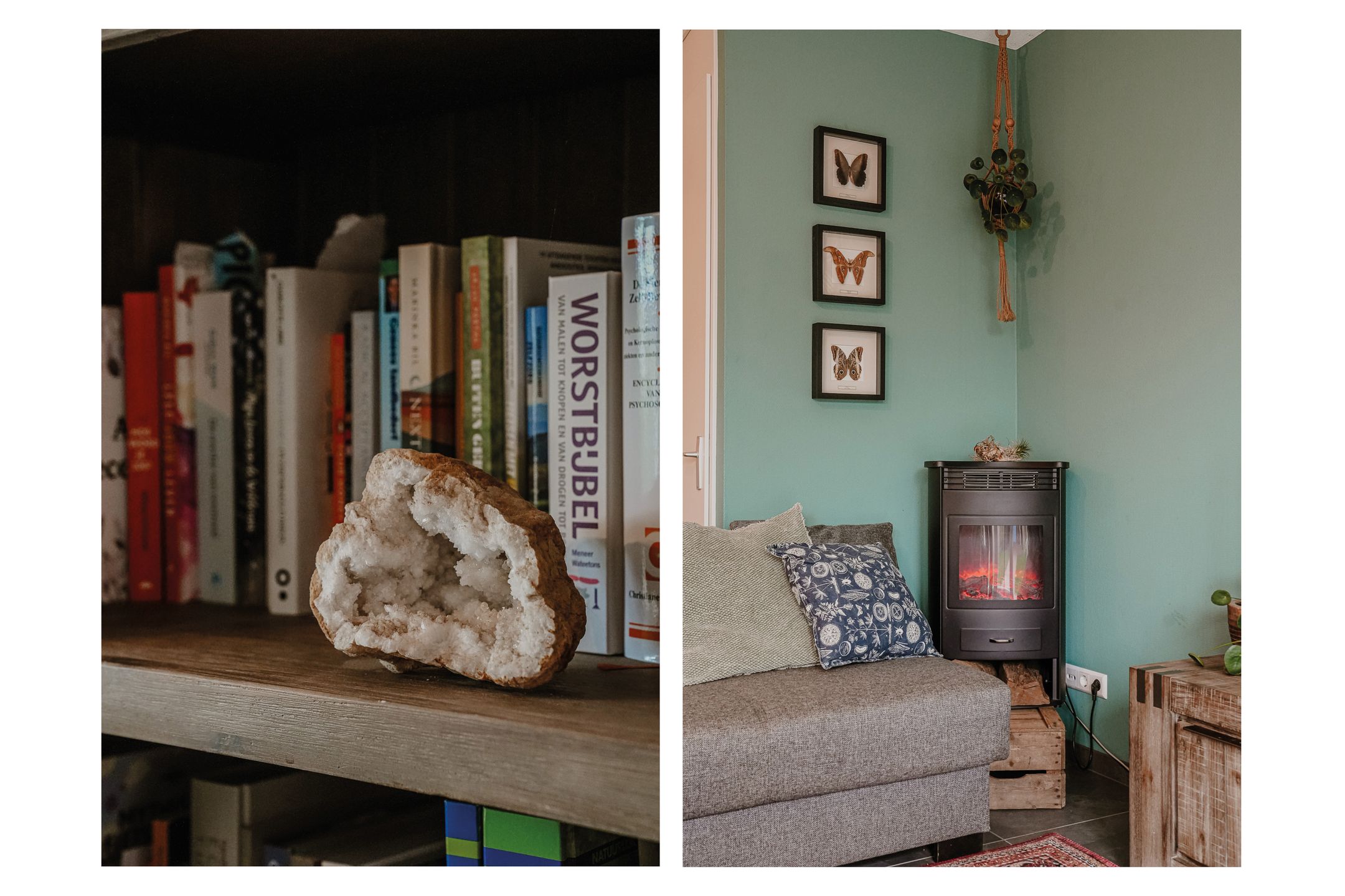 Foto 15 van Vierspan 6