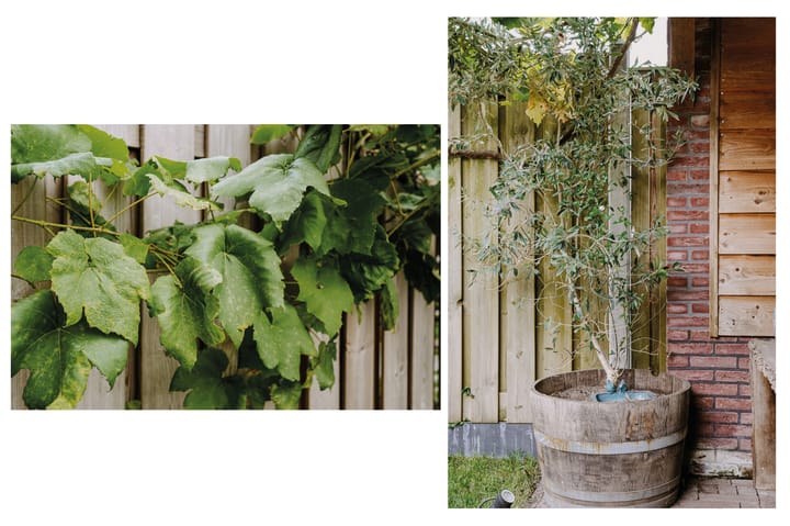 Foto 29 van Vierspan 6