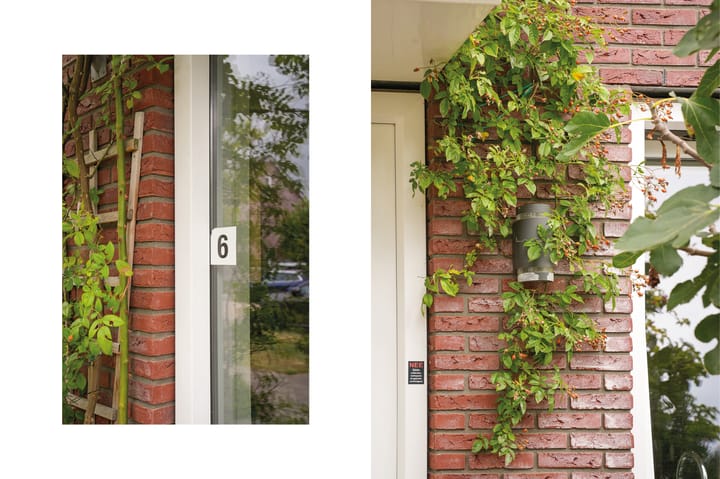 Foto 35 van Vierspan 6