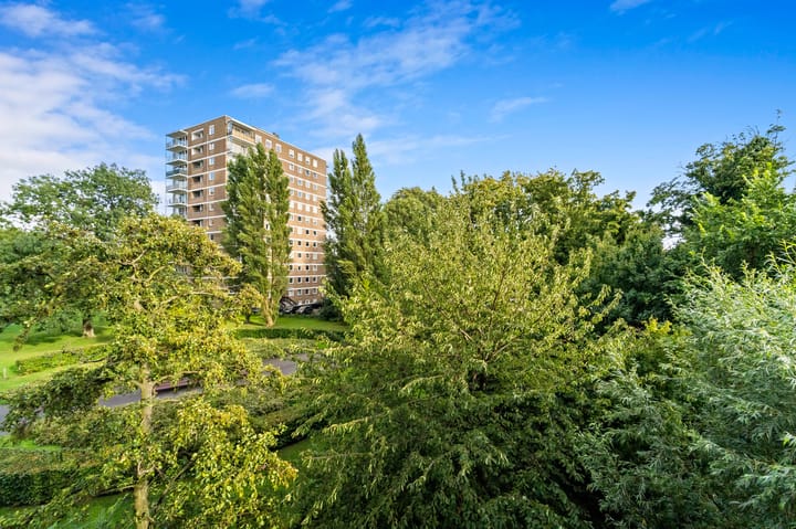 Foto 16 van Dignaland 22