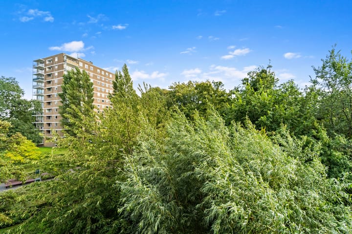 Foto 29 van Dignaland 22