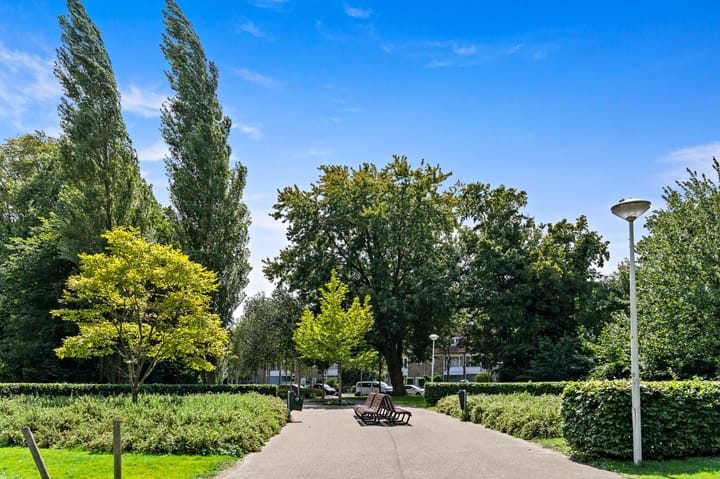 Foto 33 van Dignaland 22