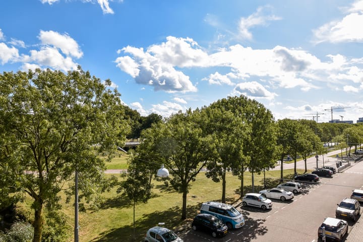 Foto 11 van Bernard Shawsingel 140