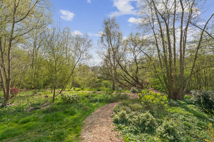 Foto 42 van Prattenburg 40