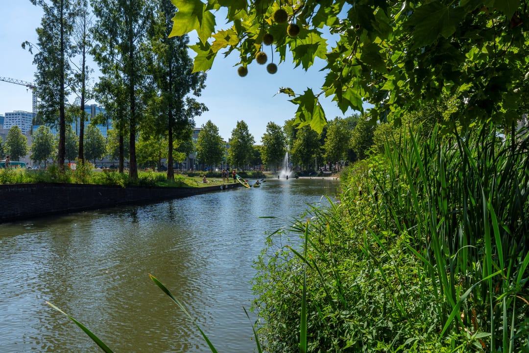 Foto 23 van Weerdsingel W.Z. 18-B