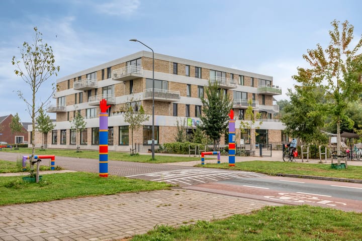 Foto 43 van Bodemmes 10