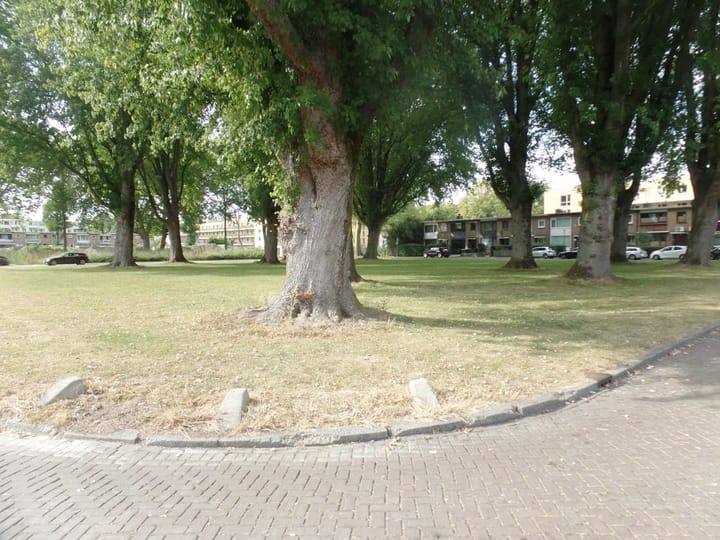 Foto 26 van Van Limburg Stirumplantsoen 11