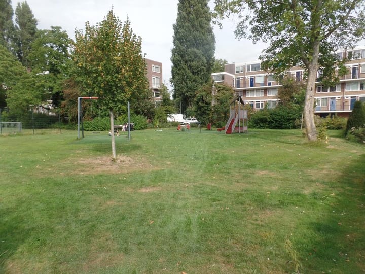 Foto 27 van Van Limburg Stirumplantsoen 11