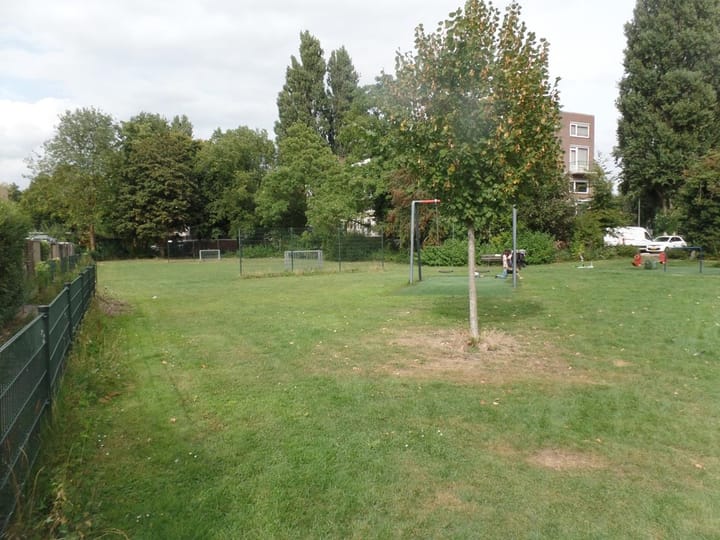 Foto 28 van Van Limburg Stirumplantsoen 11