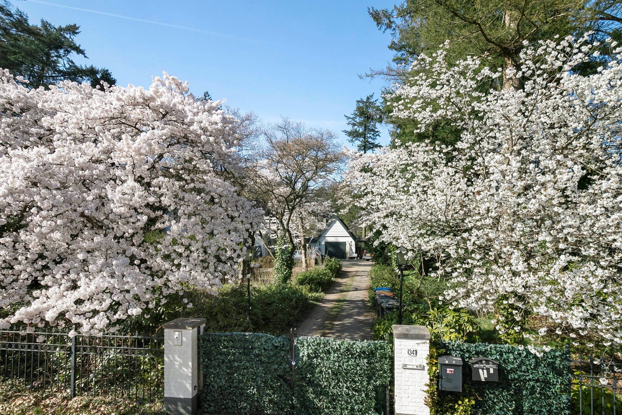 Foto 6 van Utrechtseweg 341
