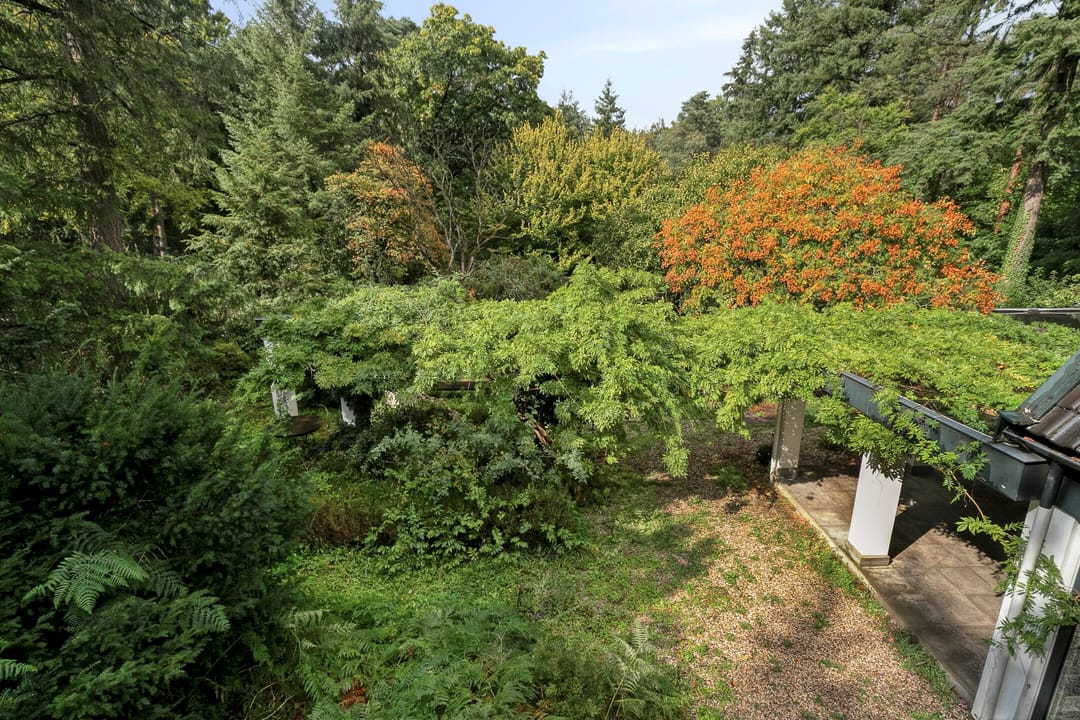 Foto 38 van Utrechtseweg 341