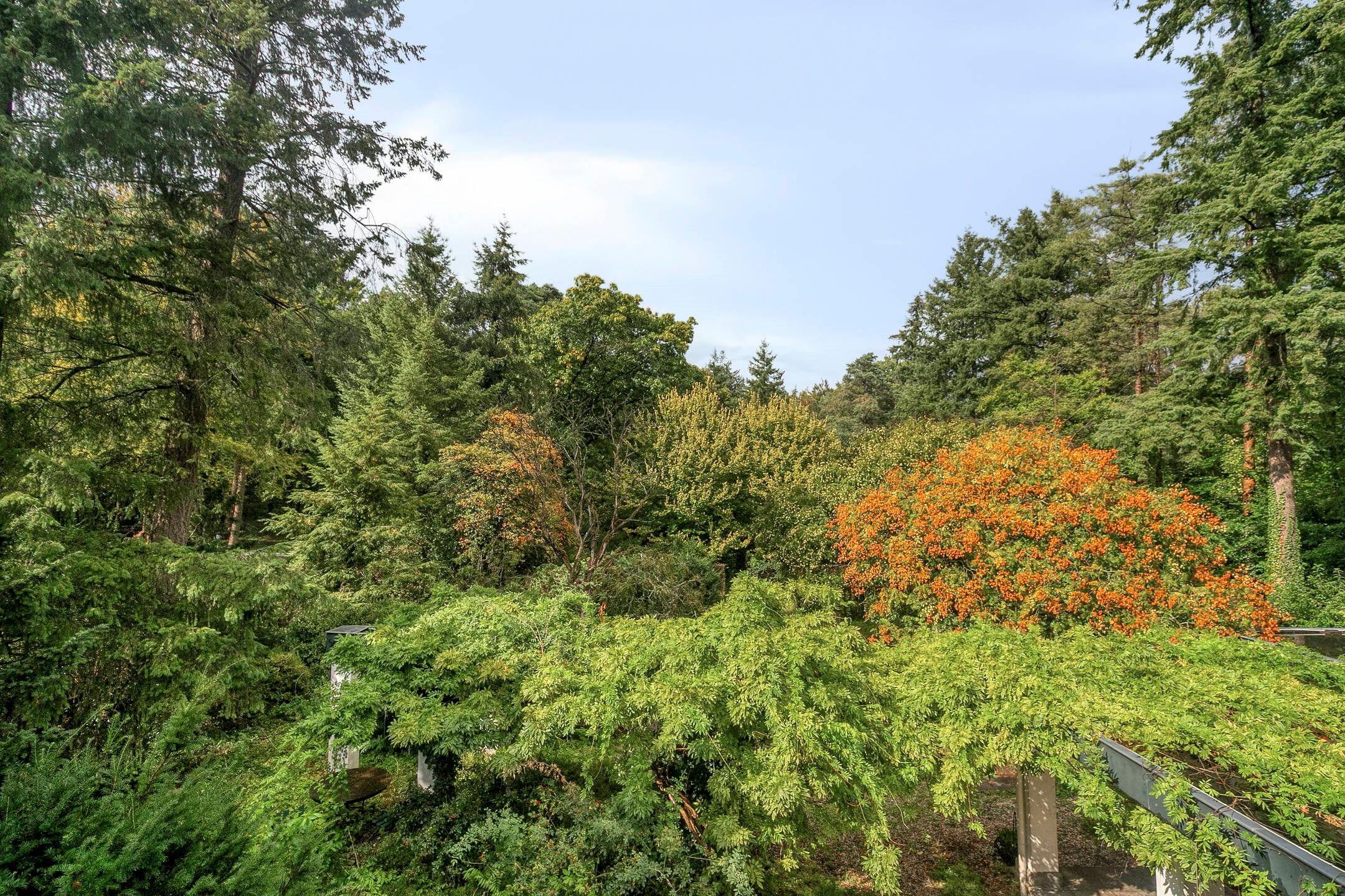 Foto 39 van Utrechtseweg 341