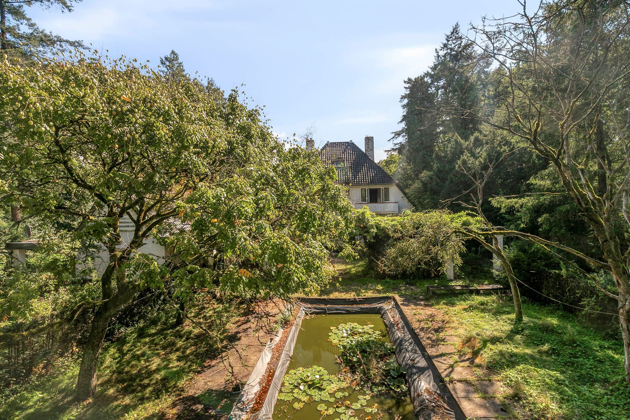 Foto 63 van Utrechtseweg 341