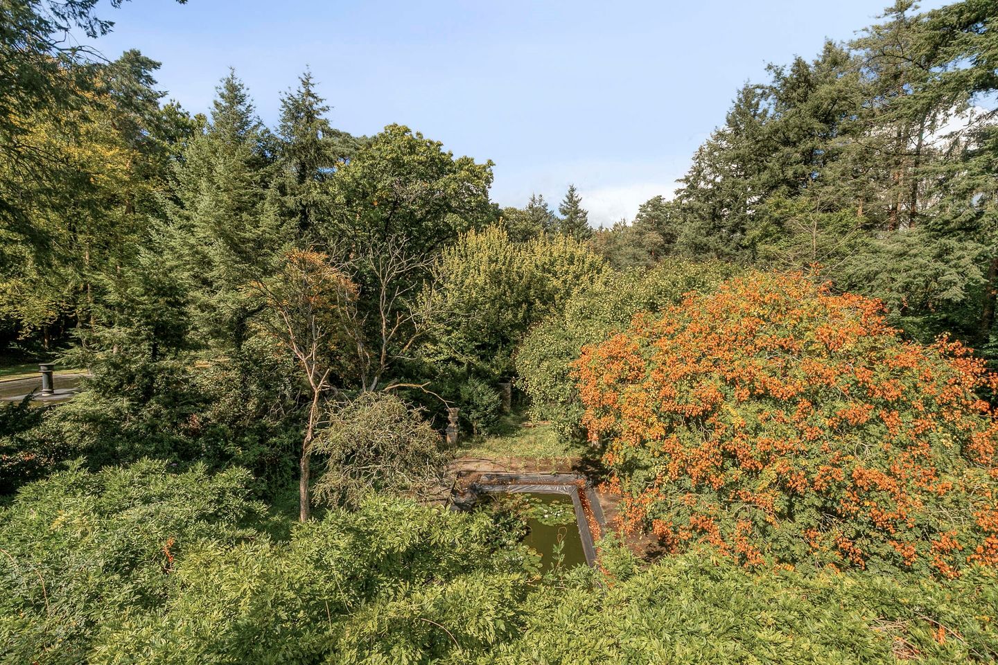 Foto 64 van Utrechtseweg 341