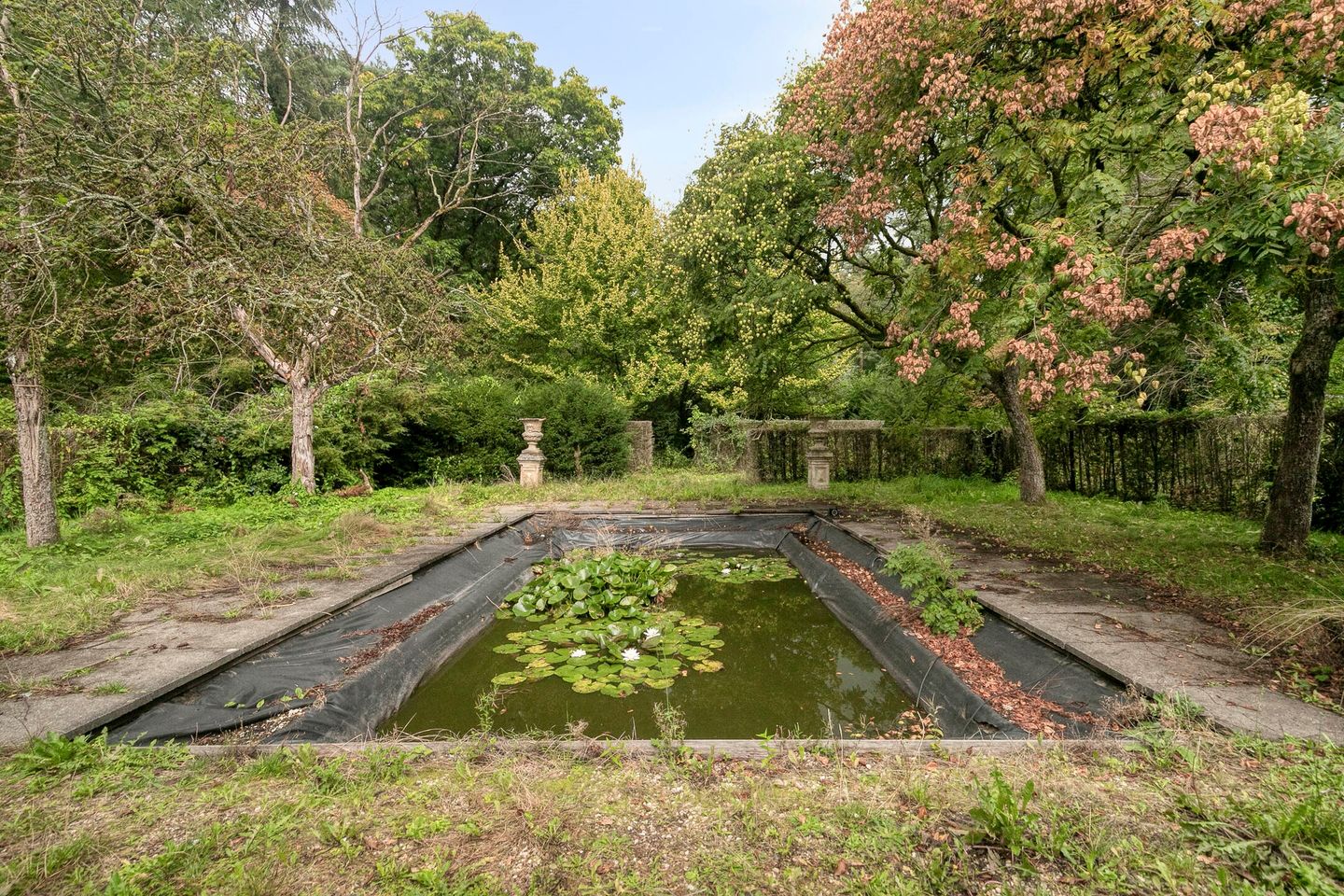 Foto 65 van Utrechtseweg 341