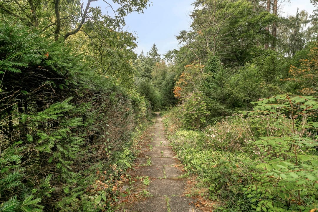 Foto 68 van Utrechtseweg 341