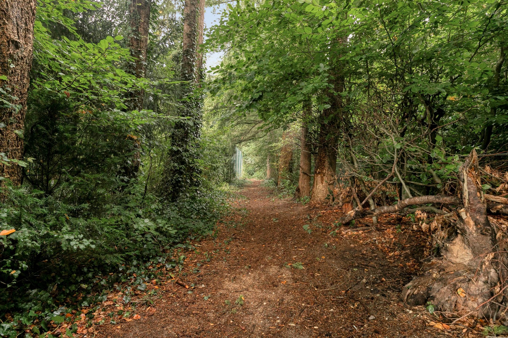 Foto 69 van Utrechtseweg 341