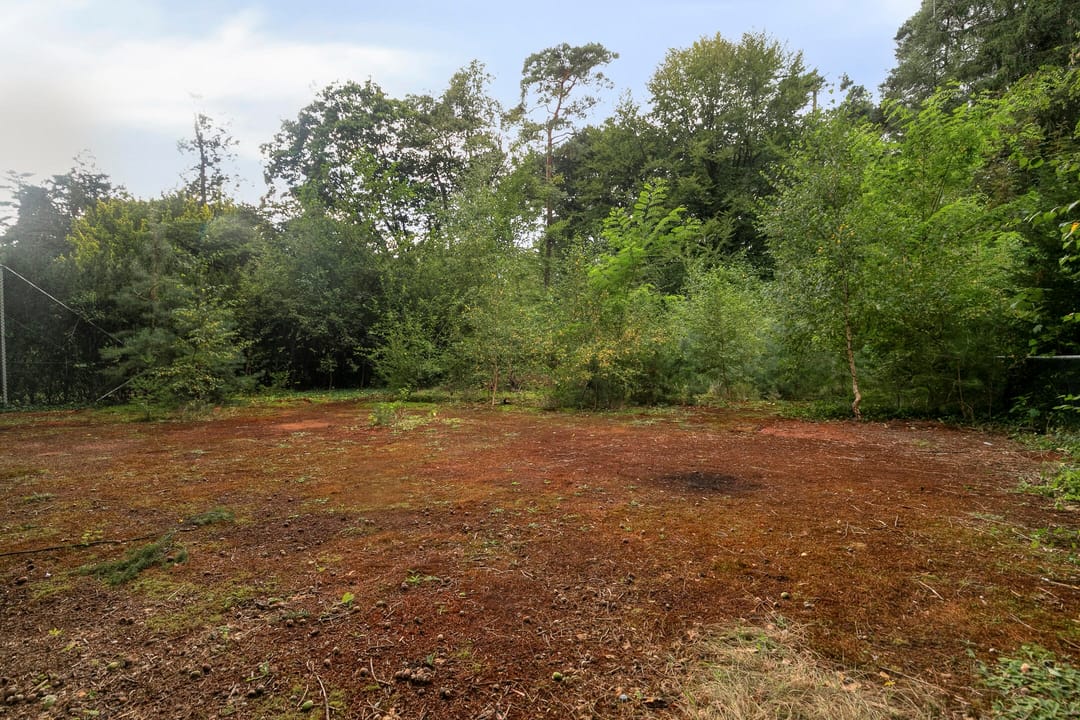 Foto 71 van Utrechtseweg 341