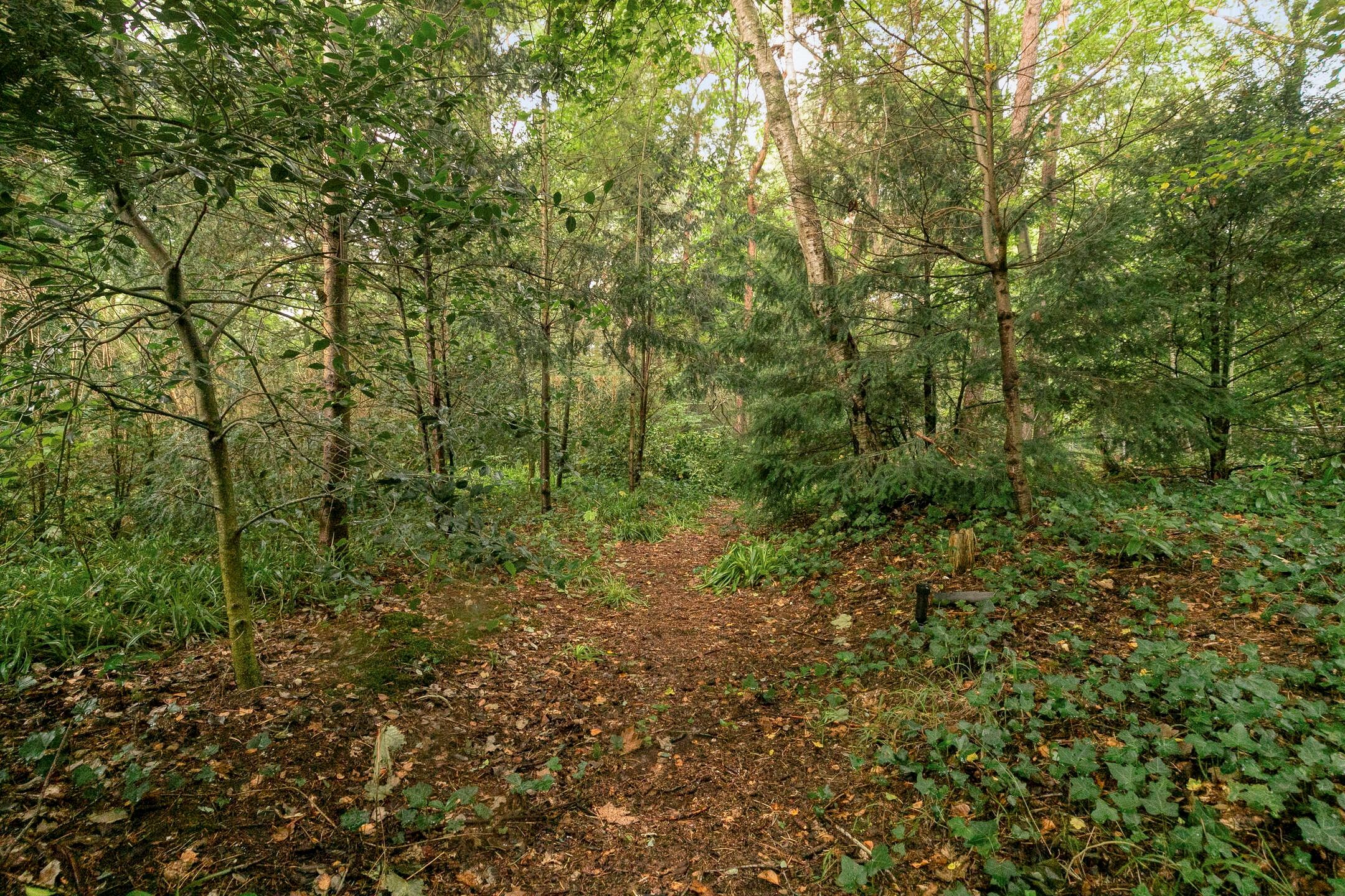 Foto 72 van Utrechtseweg 341