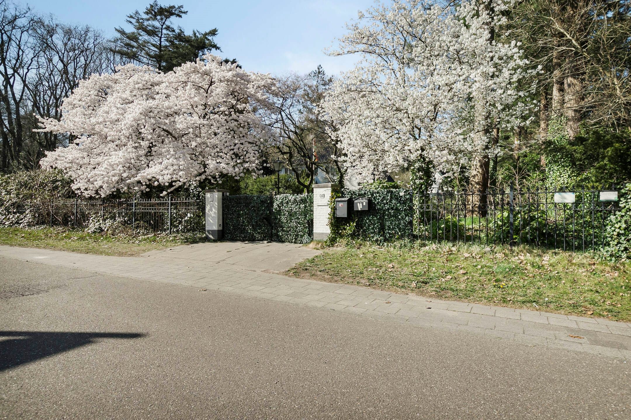 Foto 75 van Utrechtseweg 341